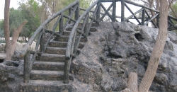 Bridge